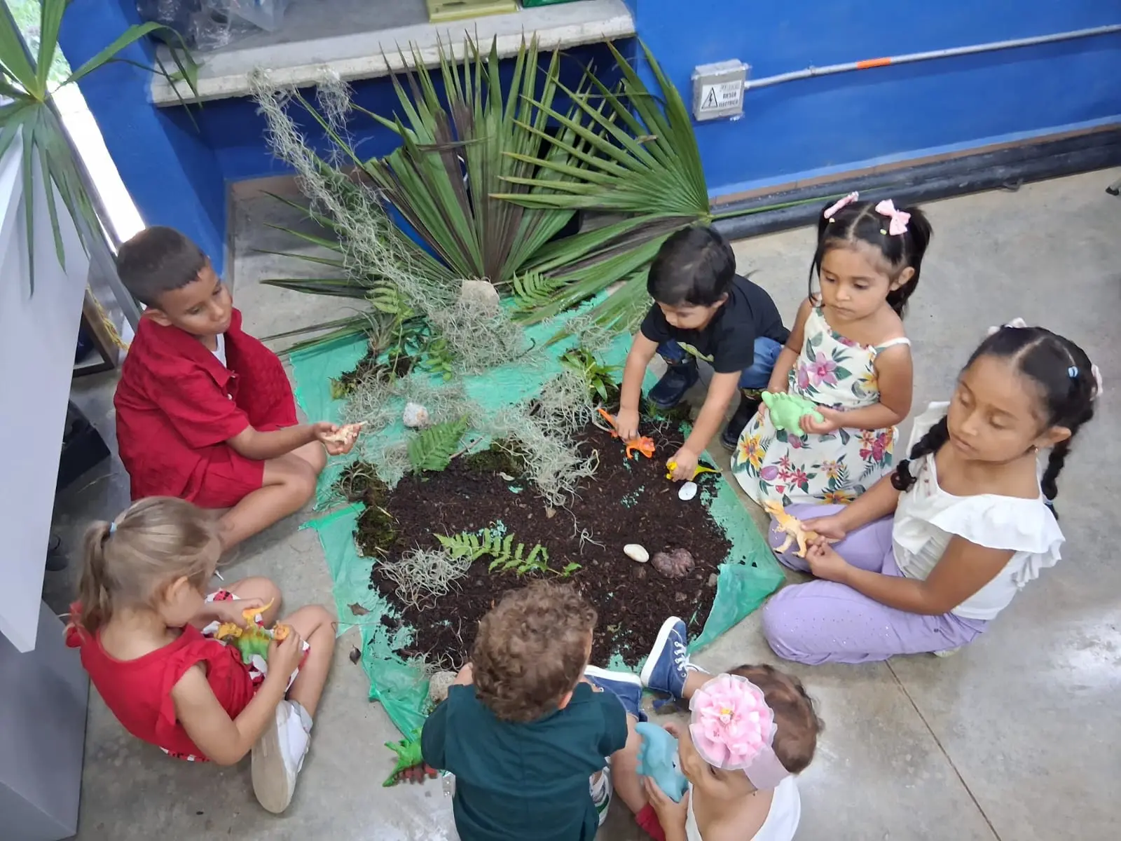 Actividad en Suroeste